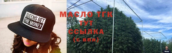 гидра Надым
