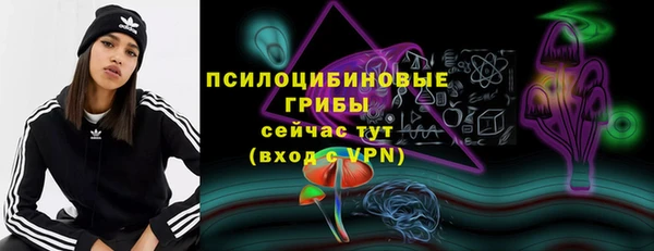 МДПВ Навашино