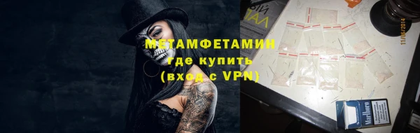 гидра Надым