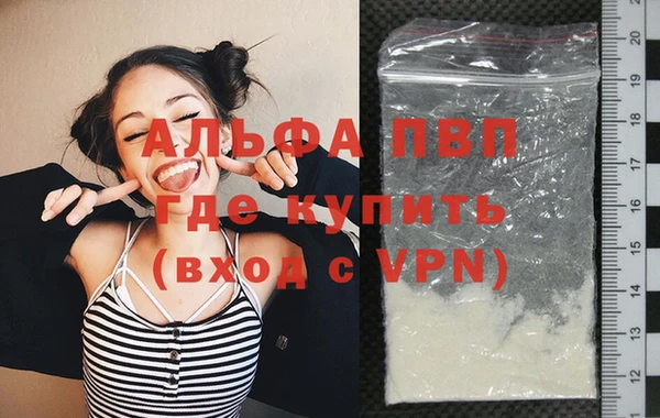 гидра Надым