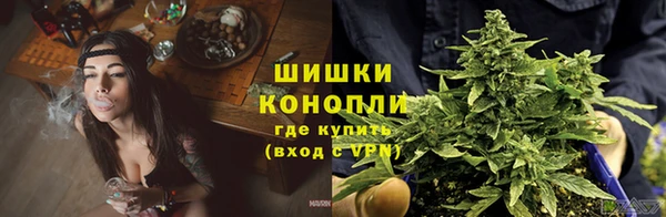 МДПВ Навашино
