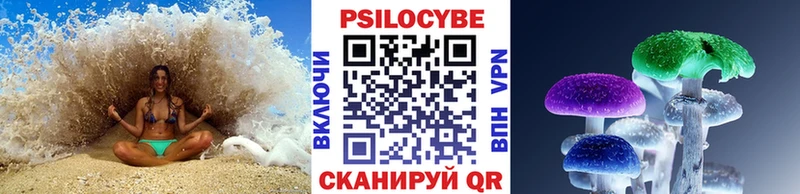 купить наркотик  Борзя  Галлюциногенные грибы прущие грибы 