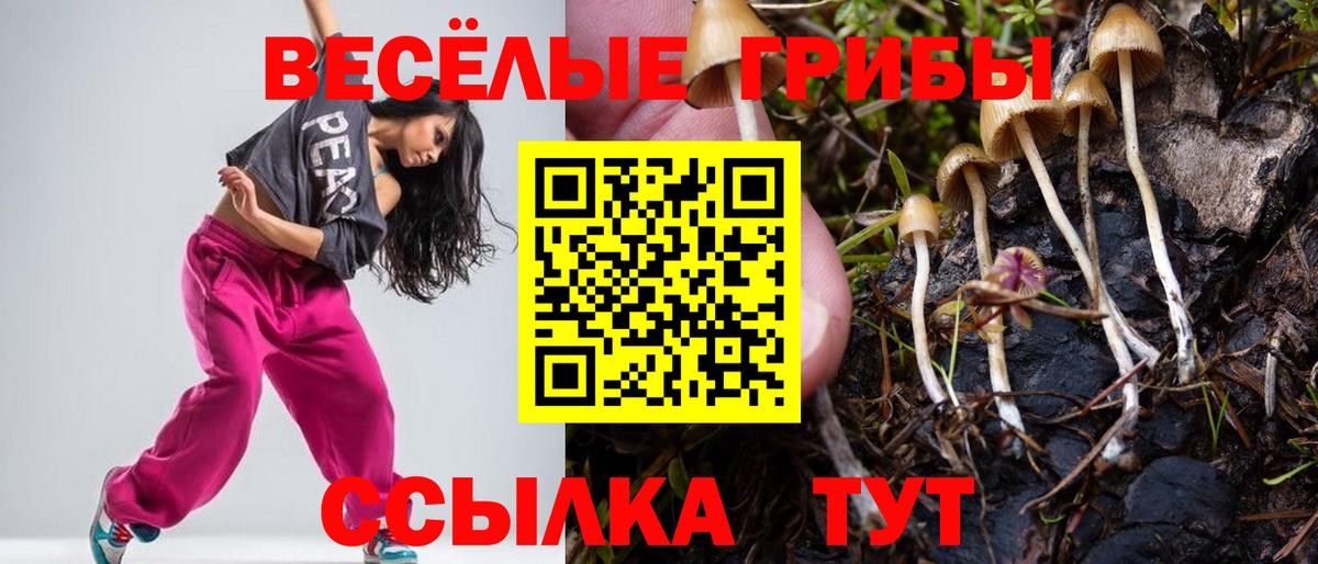 Галлюциногенные грибы прущие грибы  Вход с VPN  Борзя 