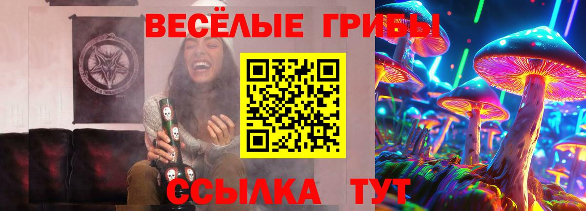 Псилоцибиновые грибы Cubensis Борзя